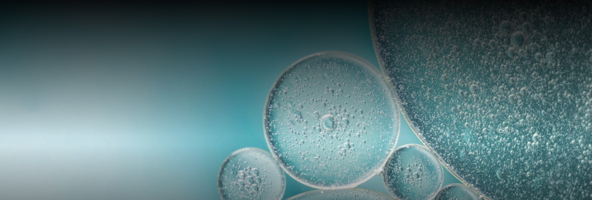 Pharmaceutical Industry